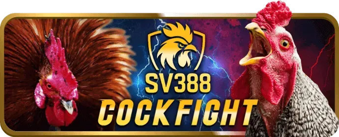 Đá gà trực tiếp 12win